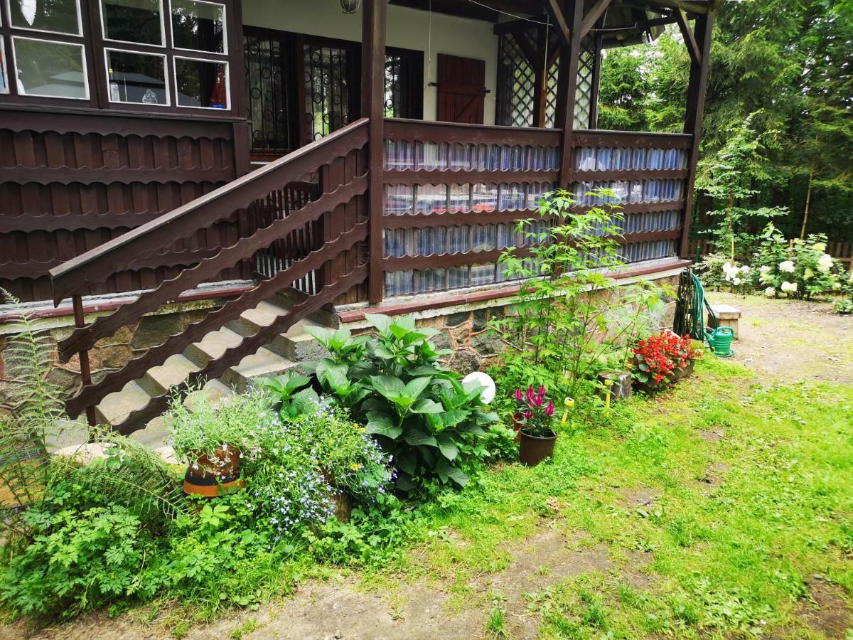 Villa Dom Stare Czaple Exterior foto